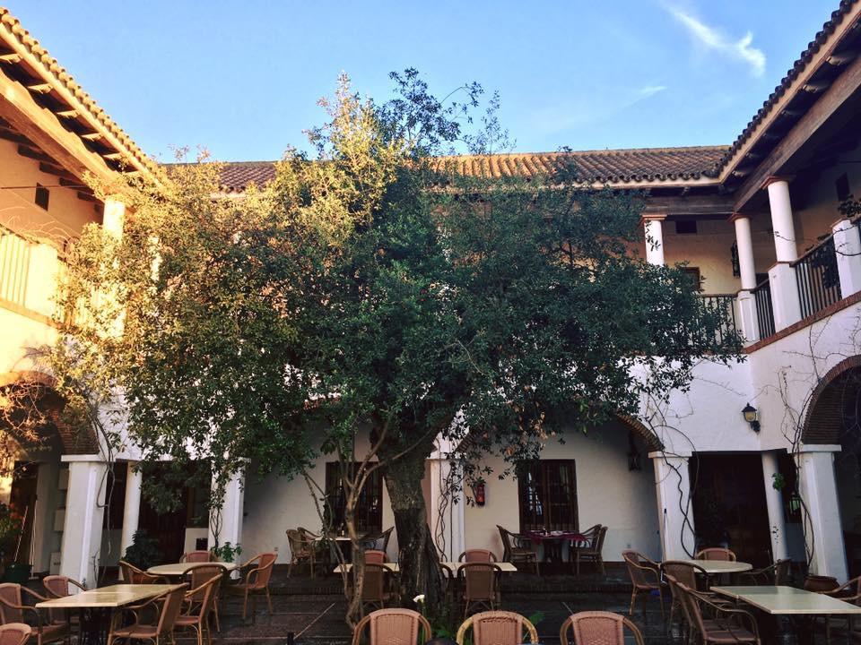 Hotel Cortijo Las Grullas Benalup-Casas Viejas Ngoại thất bức ảnh